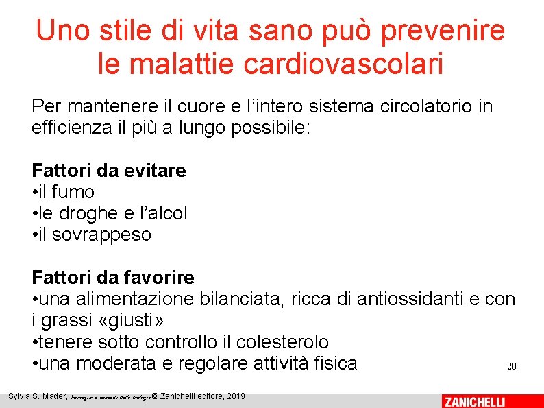 Uno stile di vita sano può prevenire le malattie cardiovascolari Per mantenere il cuore