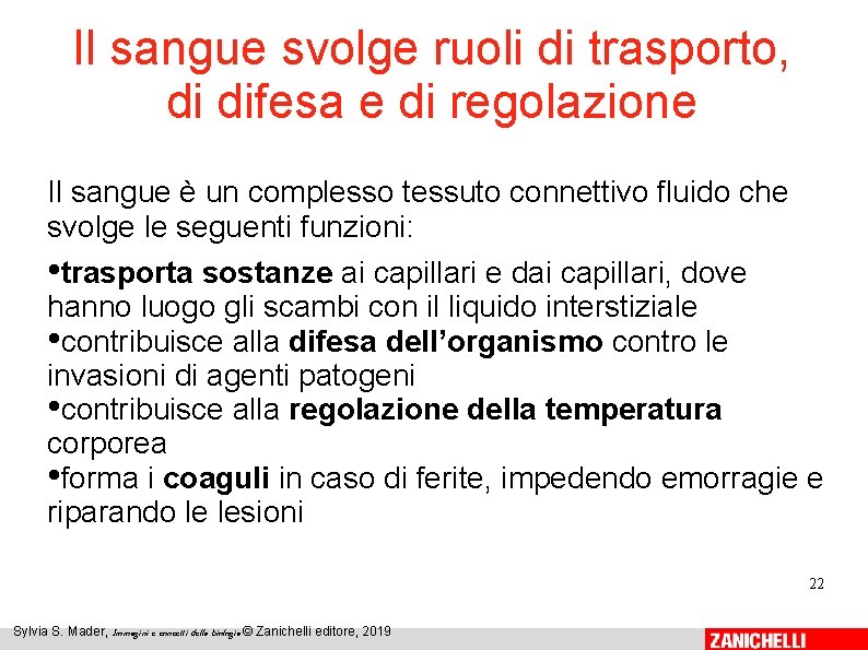 Il sangue svolge ruoli di trasporto, di difesa e di regolazione Il sangue è