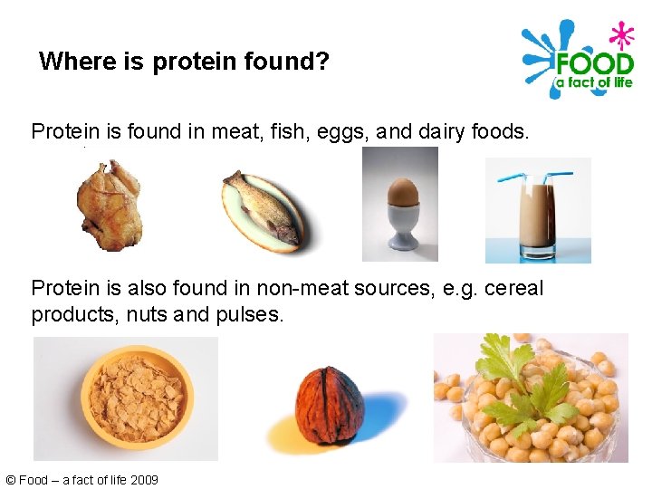 Where is protein found? Protein is found in meat, fish, eggs, and dairy foods.