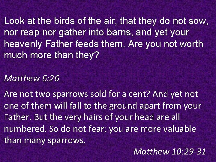 Look at the birds of the air, that they do not sow, nor reap