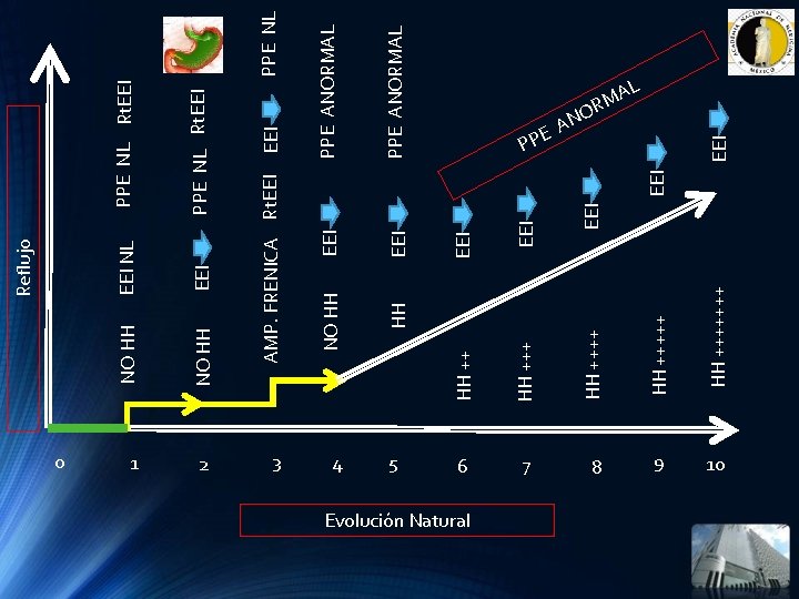 2 3 4 Evolución Natural HH +++++++ EEI EEI HH HH +++ 5 HH 2 3 4 Evolución Natural HH +++++++ EEI EEI HH HH +++ 5 HH