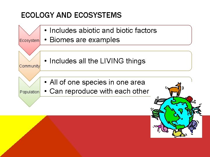 ECOLOGY AND ECOSYSTEMS Ecosystem Community Population • Includes abiotic and biotic factors • Biomes