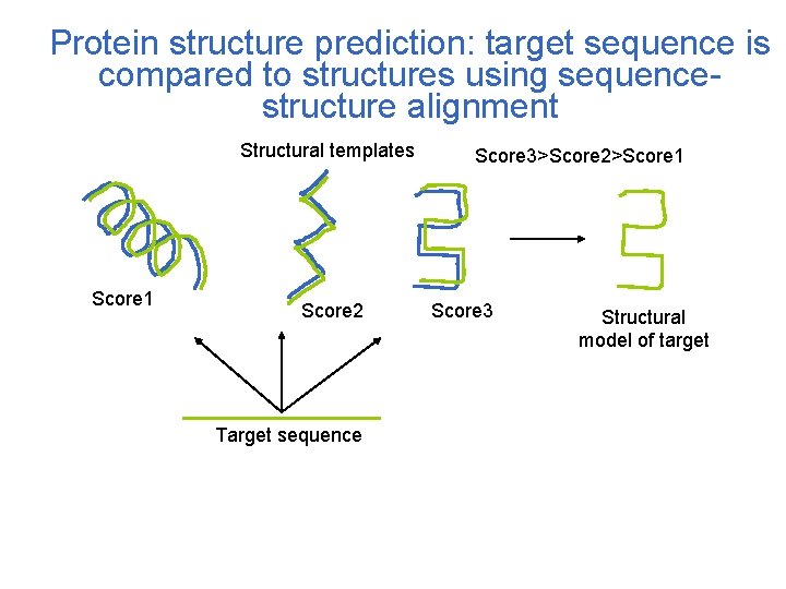 Protein structure prediction: target sequence is compared to structures using sequencestructure alignment Structural templates