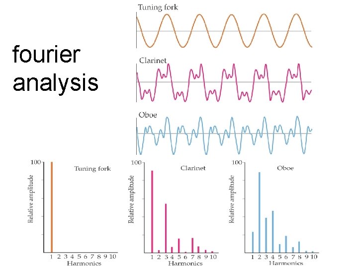 fourier analysis 