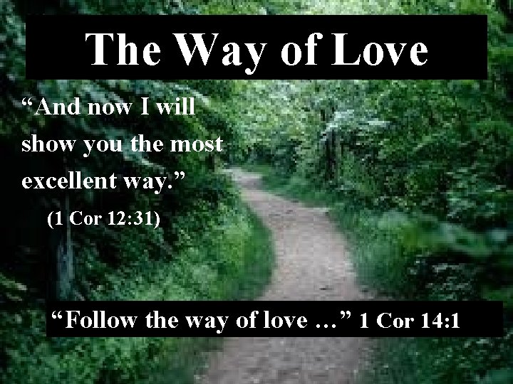 The Way of Love “And now I will show you the most excellent way.