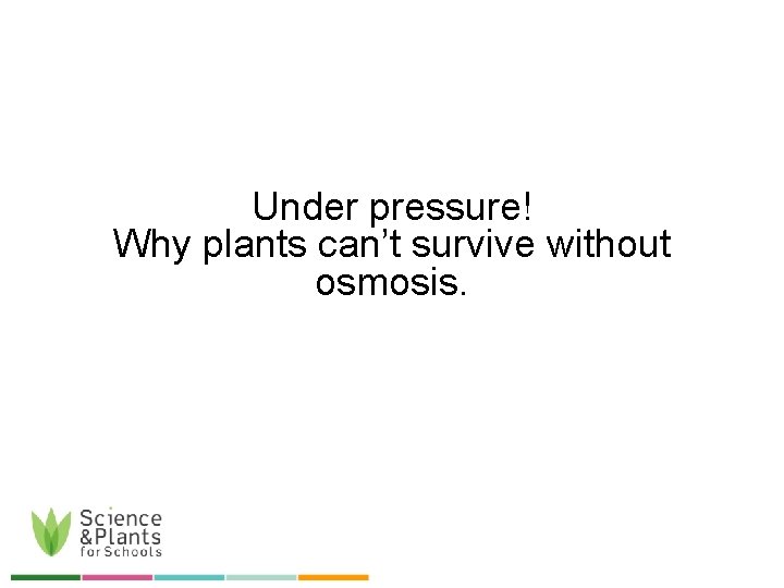 Under pressure! Why plants can’t survive without osmosis. 