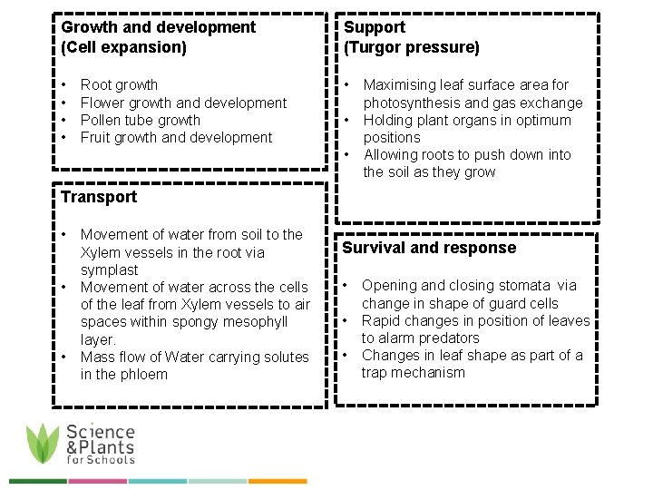 Growth and development (Cell expansion) Support (Turgor pressure) • • • Root growth Flower