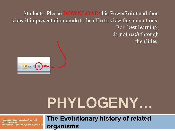 Students: Please DOWNLOAD this Power. Point and then view it in presentation mode to