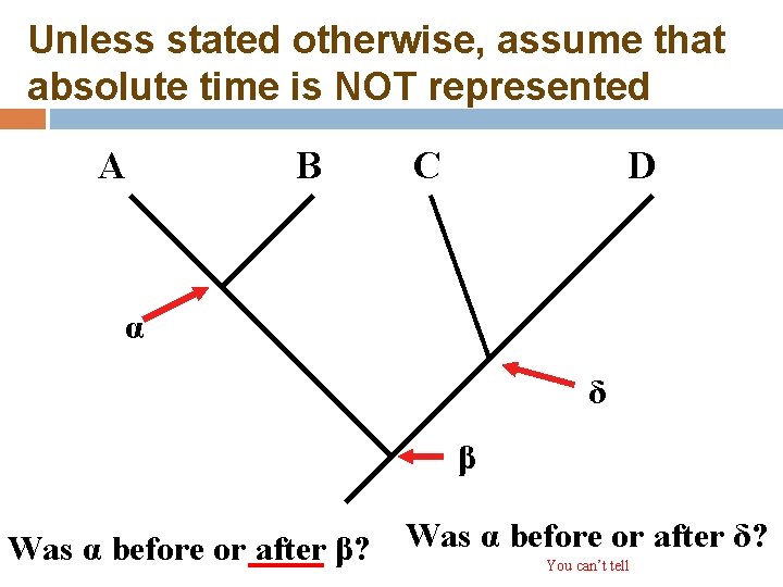 Unless stated otherwise, assume that absolute time is NOT represented A B C D