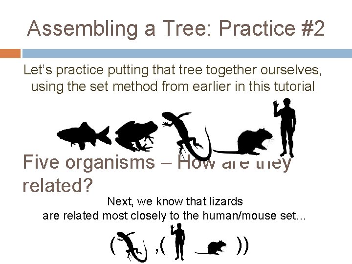 Assembling a Tree: Practice #2 Let’s practice putting that tree together ourselves, using the