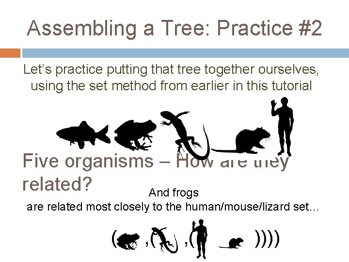 Assembling a Tree: Practice #2 Let’s practice putting that tree together ourselves, using the
