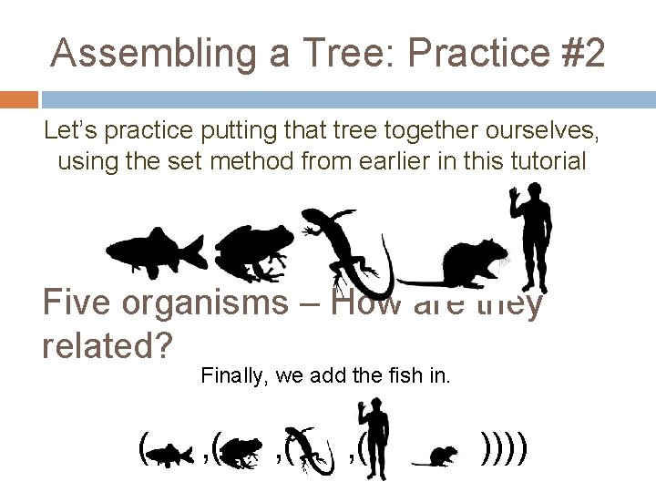 Assembling a Tree: Practice #2 Let’s practice putting that tree together ourselves, using the