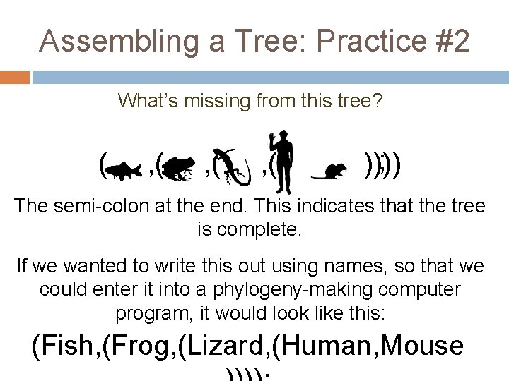 Assembling a Tree: Practice #2 What’s missing from this tree? ( , ( ,