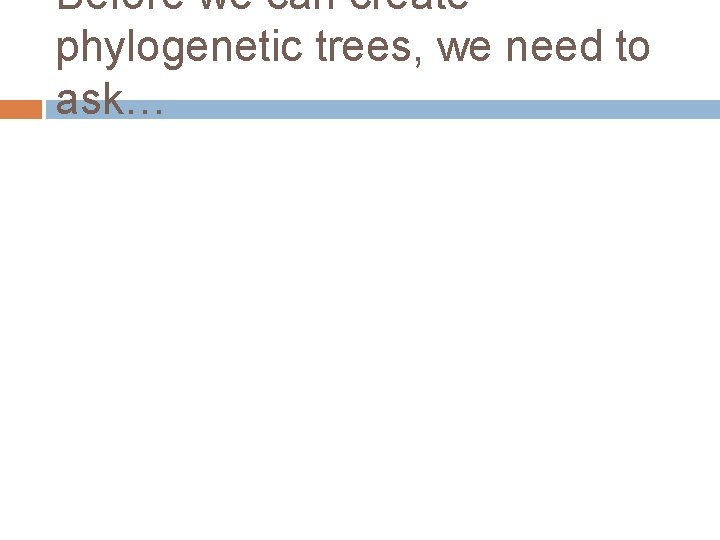 Before we can create phylogenetic trees, we need to ask… 