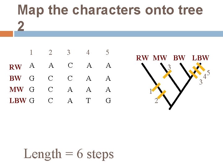 Map the characters onto tree 2 1 2 3 4 5 RW A BW