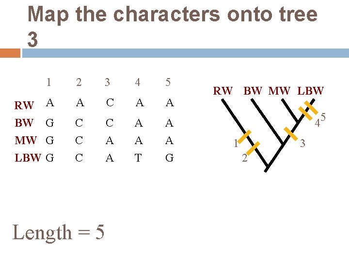 Map the characters onto tree 3 1 2 3 4 5 RW A BW