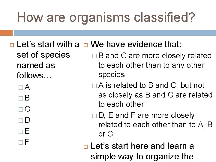 How are organisms classified? Let’s start with a set of species named as follows…
