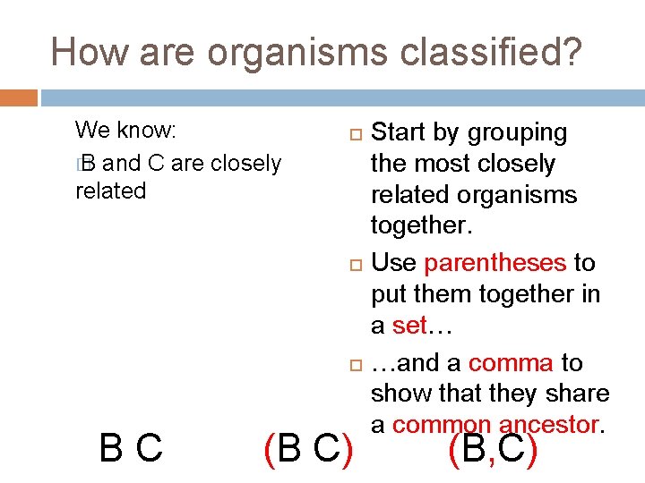 How are organisms classified? We know: � B and C are closely related BC