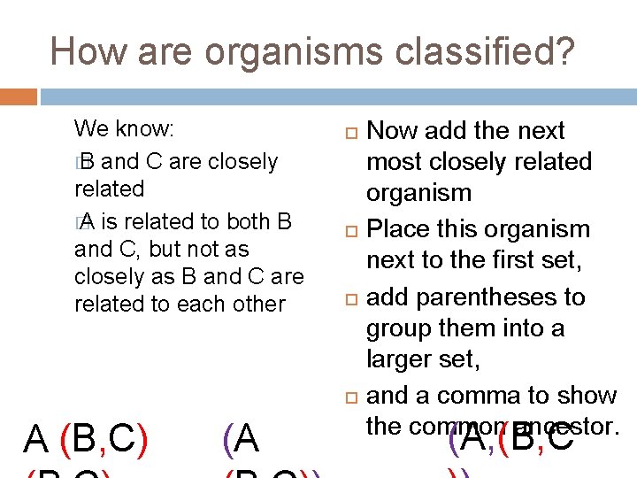 How are organisms classified? We know: � B and C are closely related �