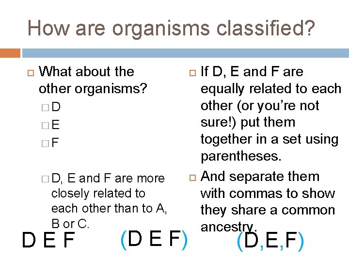 How are organisms classified? What about the other organisms? �D �E �F � D,