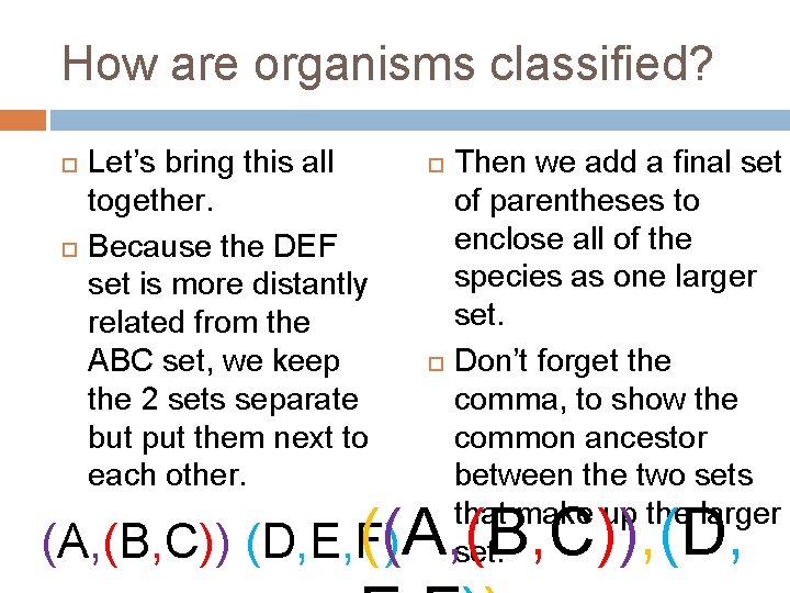 How are organisms classified? Let’s bring this all together. Because the DEF set is