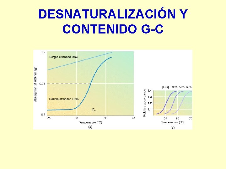 DESNATURALIZACIÓN Y CONTENIDO G-C 