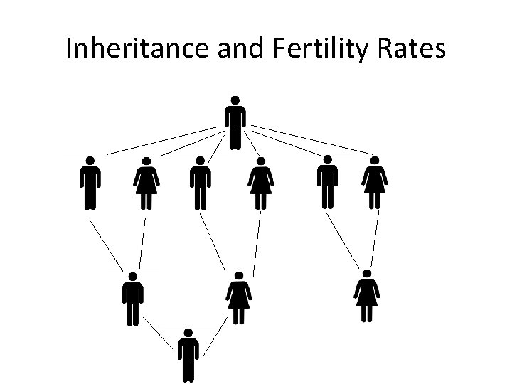 Inheritance and Fertility Rates Inheritance and Fertility Rates