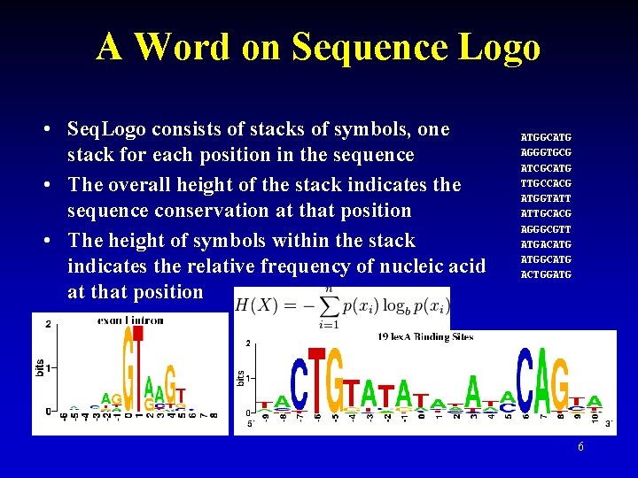 A Word on Sequence Logo • Seq. Logo consists of stacks of symbols, one