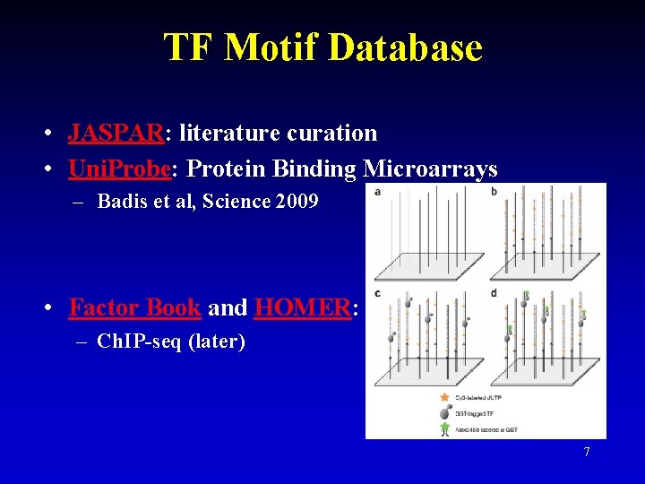 TF Motif Database • JASPAR: literature curation • Uni. Probe: Protein Binding Microarrays –