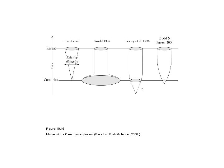 Figure 10. 16 Modes of the Cambrian explosion. (Based on Budd & Jensen 2000.
