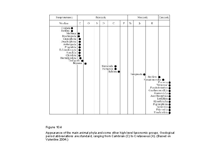 Figure 10. 4 Appearance of the main animal phyla and some other high-level taxonomic