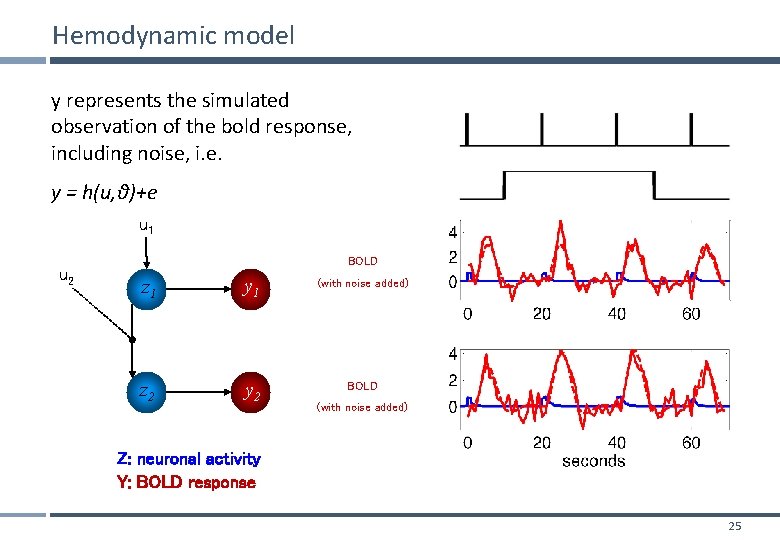 Hemodynamic model y represents the simulated observation of the bold response, including noise, i.