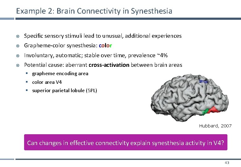 Example 2: Brain Connectivity in Synesthesia Specific sensory stimuli lead to unusual, additional experiences