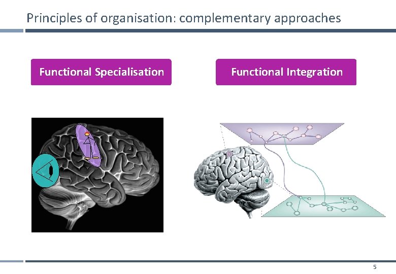 Principles of organisation: complementary approaches Functional Specialisation Functional Integration 5 