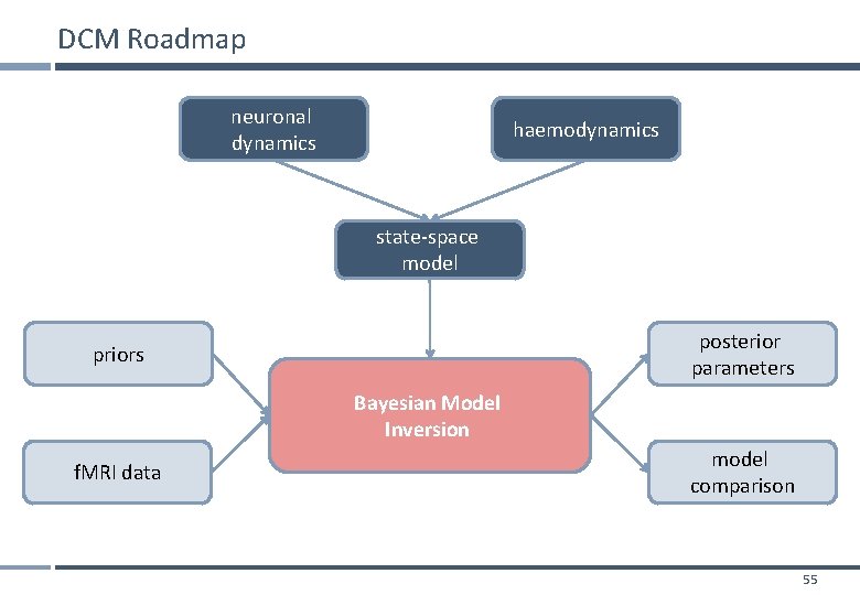 DCM Roadmap neuronal dynamics haemodynamics state-space model posterior parameters priors Bayesian Model Inversion f.