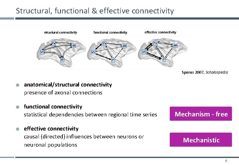 Structural, functional & effective connectivity Sporns 2007, Scholarpedia anatomical/structural connectivity presence of axonal connections