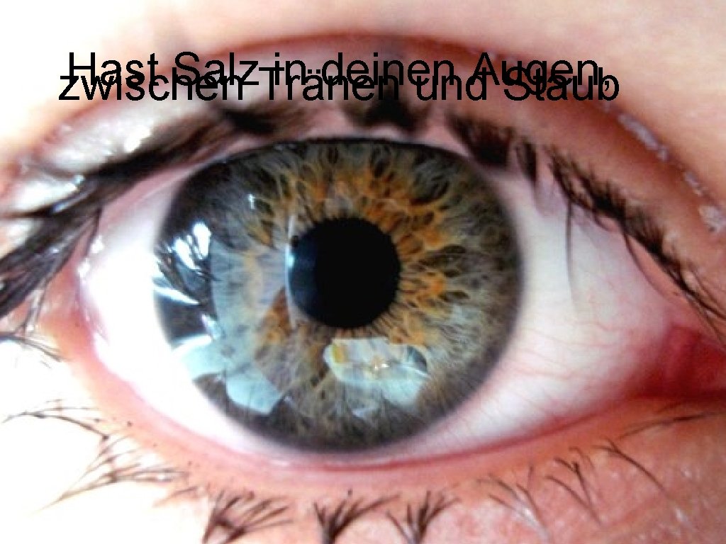 Hast Salz in deinen Augen, zwischen Tränen und Staub 