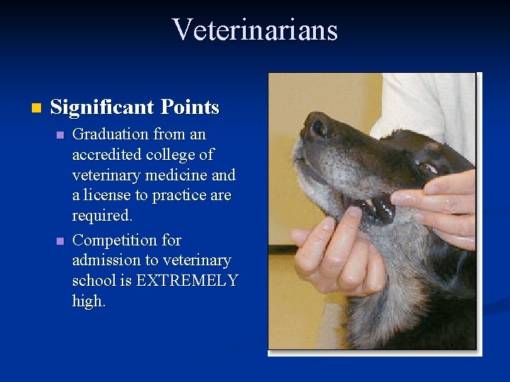 Veterinarians n Significant Points n n Graduation from an accredited college of veterinary medicine