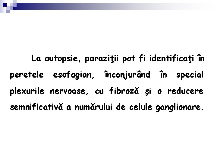 La autopsie, paraziţii pot fi identificaţi în peretele esofagian, înconjurând în special plexurile nervoase,
