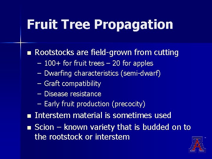 Fruit Tree Propagation n Rootstocks are field-grown from cutting – – – n n Fruit Tree Propagation n Rootstocks are field-grown from cutting – – – n n