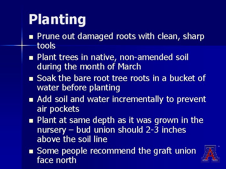 Planting n n n Prune out damaged roots with clean, sharp tools Plant trees Planting n n n Prune out damaged roots with clean, sharp tools Plant trees