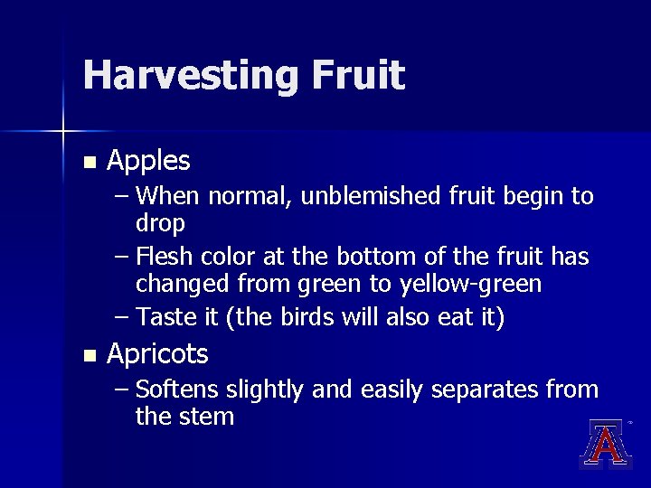 Harvesting Fruit n Apples – When normal, unblemished fruit begin to drop – Flesh Harvesting Fruit n Apples – When normal, unblemished fruit begin to drop – Flesh