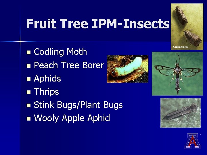 Fruit Tree IPM-Insects Codling Moth n Peach Tree Borer n Aphids n Thrips n Fruit Tree IPM-Insects Codling Moth n Peach Tree Borer n Aphids n Thrips n