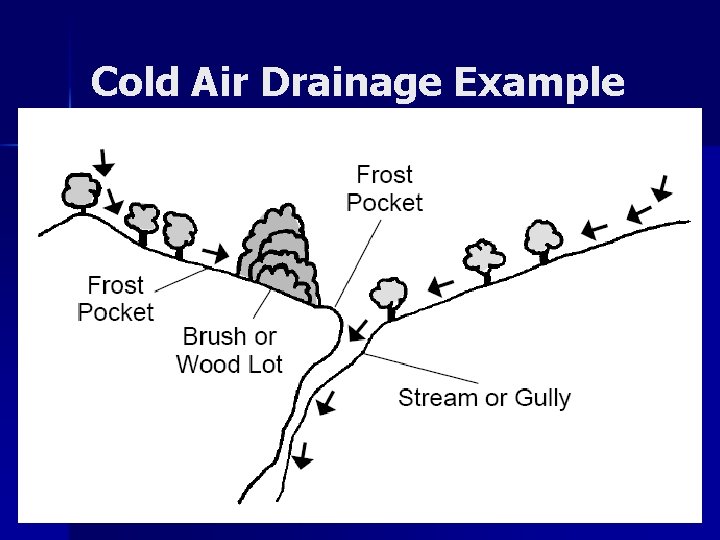 Cold Air Drainage Example Cold Air Drainage Example