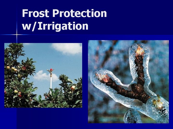 Frost Protection w/Irrigation Frost Protection w/Irrigation