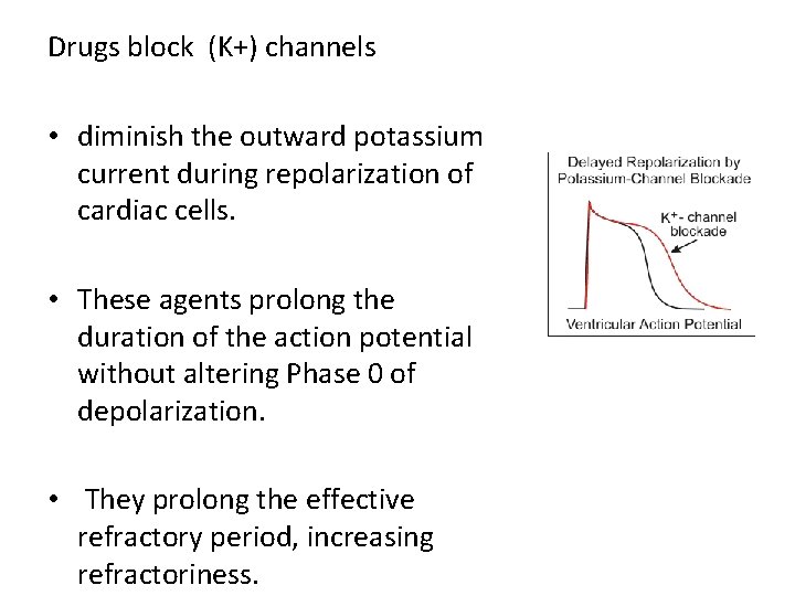 Drugs block (K+) channels • diminish the outward potassium current during repolarization of cardiac