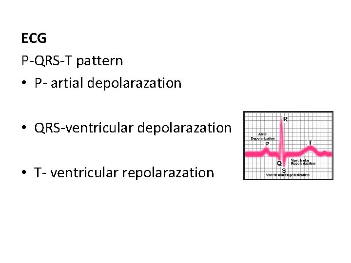 ECG P-QRS-T pattern • P- artial depolarazation • QRS-ventricular depolarazation • T- ventricular repolarazation