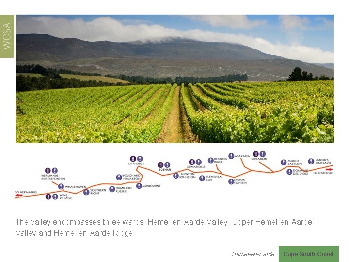 The valley encompasses three wards: Hemel-en-Aarde Valley, Upper Hemel-en-Aarde Valley and Hemel-en-Aarde Ridge. Hemel-en-Aarde