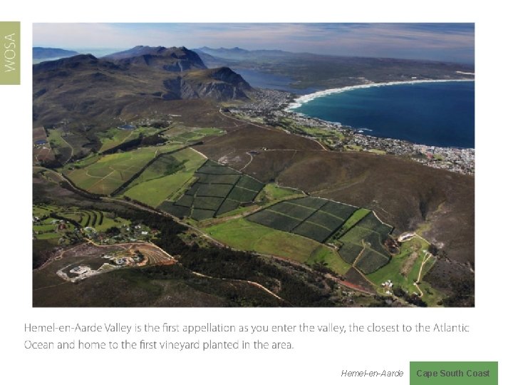 Hemel-en-Aarde Cape South Coast 