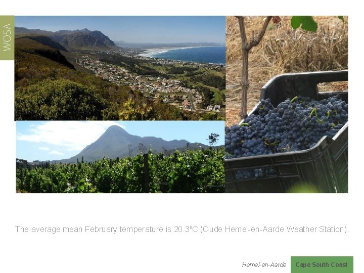 The average mean February temperature is 20. 3⁰C (Oude Hemel-en-Aarde Weather Station). Hemel-en-Aarde Cape